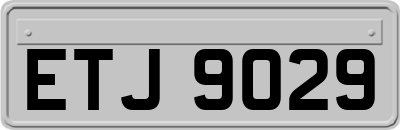 ETJ9029