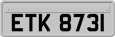 ETK8731