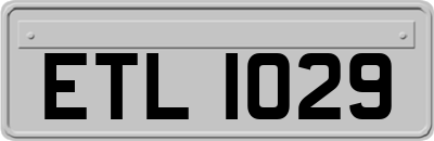 ETL1029