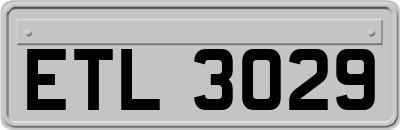 ETL3029