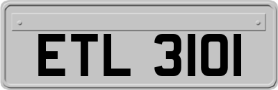 ETL3101