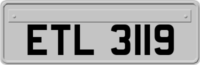 ETL3119