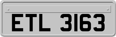 ETL3163