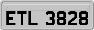 ETL3828