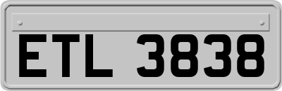 ETL3838