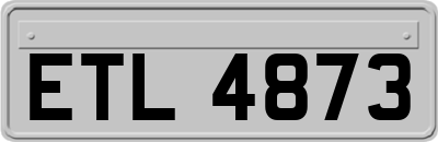 ETL4873
