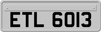 ETL6013
