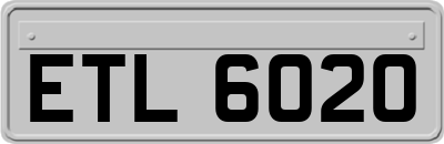 ETL6020