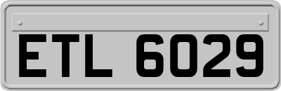 ETL6029
