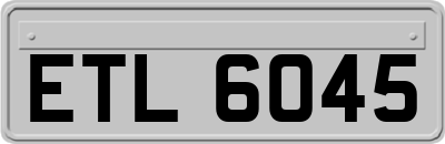 ETL6045