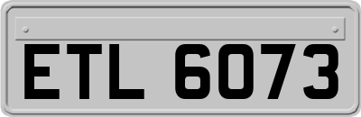 ETL6073