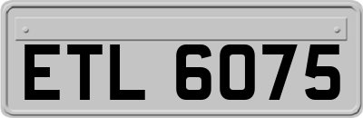 ETL6075