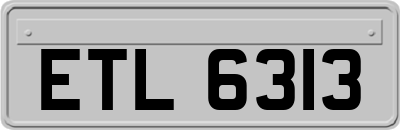 ETL6313