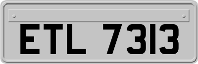 ETL7313