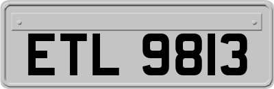 ETL9813
