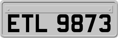 ETL9873