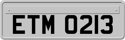 ETM0213