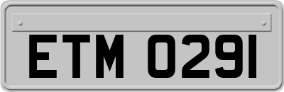 ETM0291