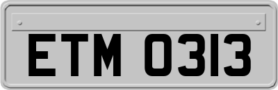 ETM0313