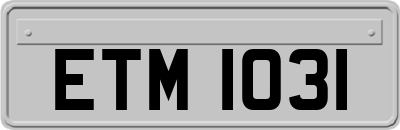 ETM1031