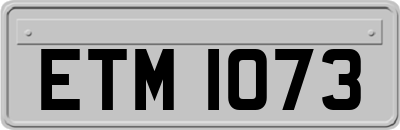 ETM1073