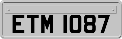 ETM1087