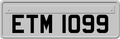 ETM1099