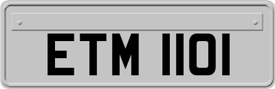ETM1101
