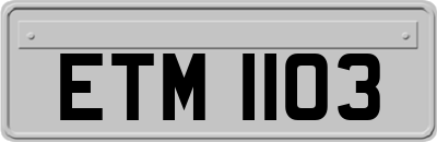 ETM1103