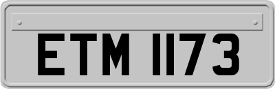 ETM1173
