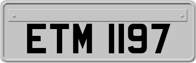 ETM1197