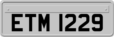 ETM1229