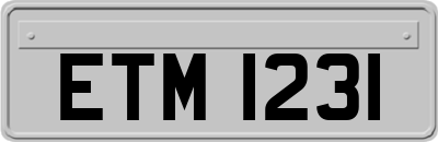 ETM1231