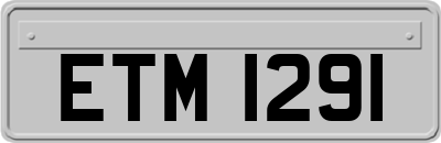 ETM1291