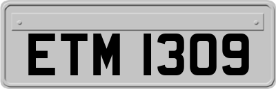 ETM1309