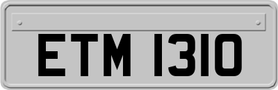 ETM1310