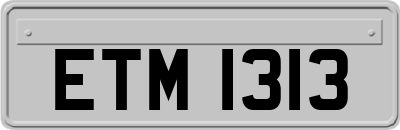 ETM1313