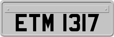 ETM1317
