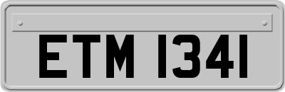 ETM1341