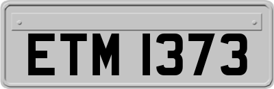 ETM1373