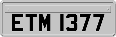 ETM1377
