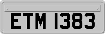ETM1383