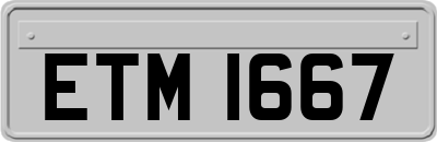 ETM1667