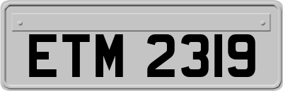 ETM2319