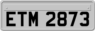 ETM2873