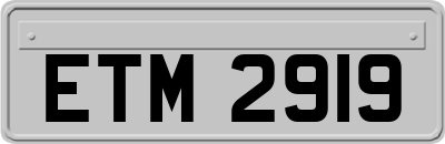 ETM2919