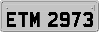 ETM2973