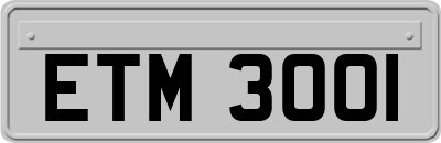ETM3001