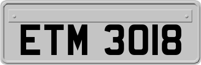 ETM3018