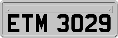 ETM3029